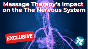Massage Therapy’s Impact on the The Nervous System