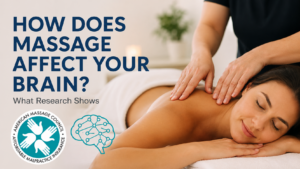Massage therapy and its effects on the brain